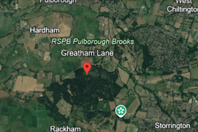 According to AA Traffic News, the incident happened on Greatham Lane – near Pulborough – on Saturday afternoon (July 25). Photo: Google Earth