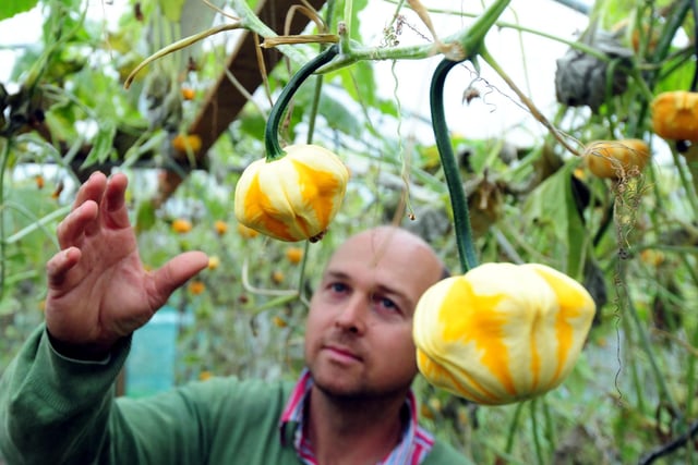 Mark Ford exploring some of the pumpkins growing on the site in 2015
