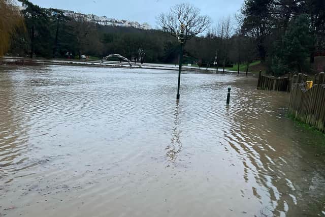 Alexandra Park is flooded. Photo: Sarah Stewart