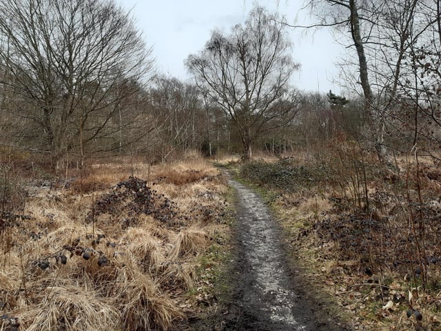 ...and continue through the heath to find what are known as fairy bridges