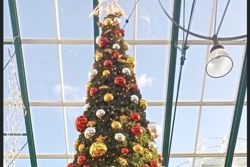 Priory Meadow Christmas
