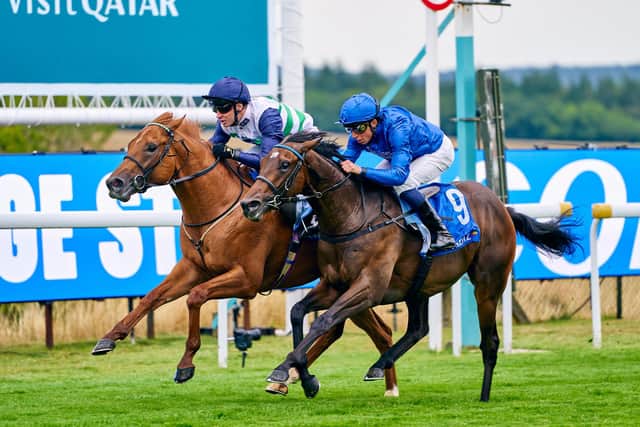 Zavateri is set for a Goodwood return | Dominic James