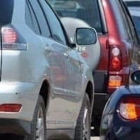 Fallen tree and long queues hit Sussex roads as rain brings difficult morning commute