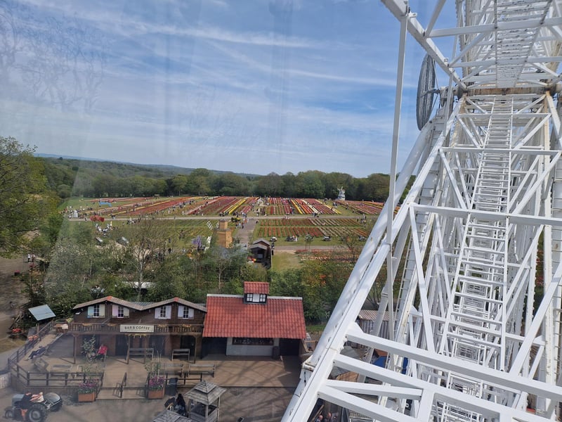 Tulleys Tulip Fest celebrates the arrival of spring with 1.5 million blooms in the fields
