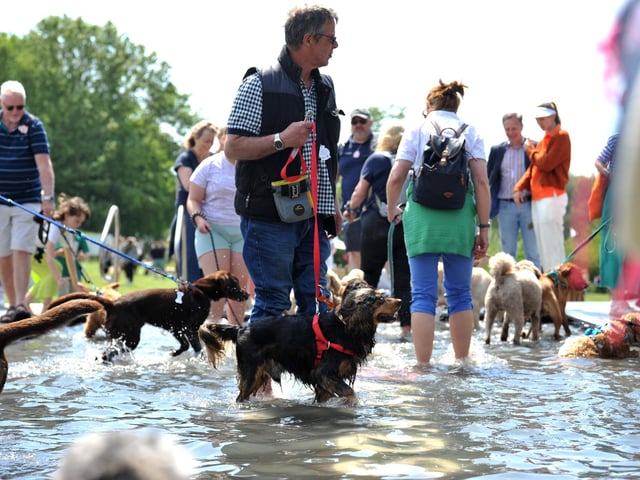 Saturday at Goodwoof 2023. Pic S Robards SR2305201