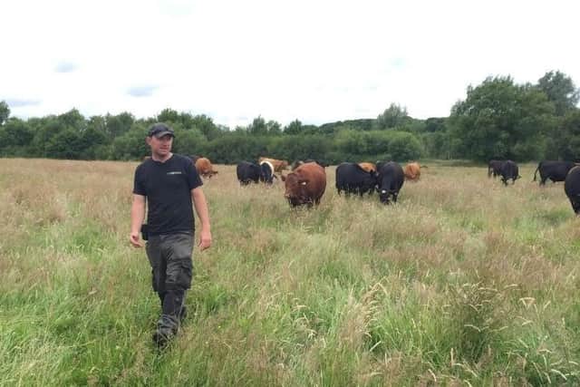 Farmer Sam Newington with cows