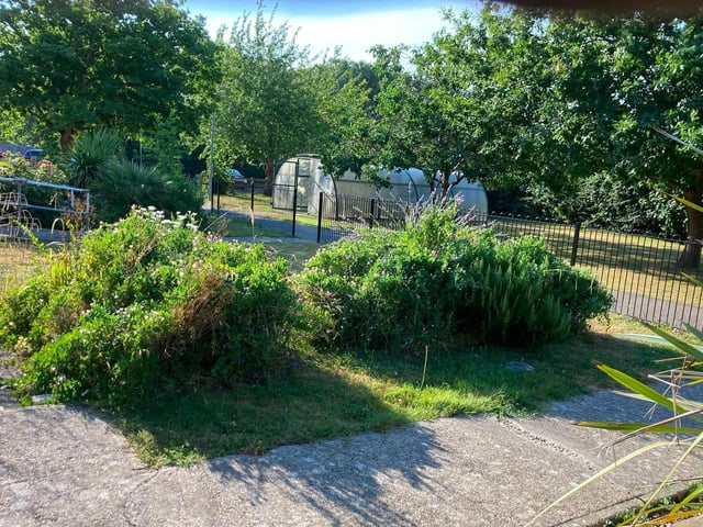 Before the Paul Wicks Garden Services free job