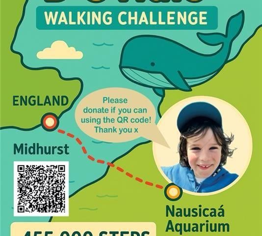 Eddie D'Ovidio's Walking Challenge