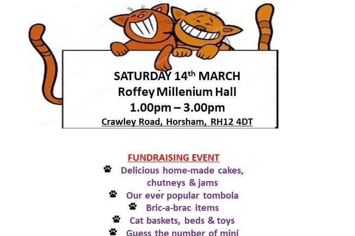 Cats Protection Events Cats Protection Horsham Branch to hold fundraising event
