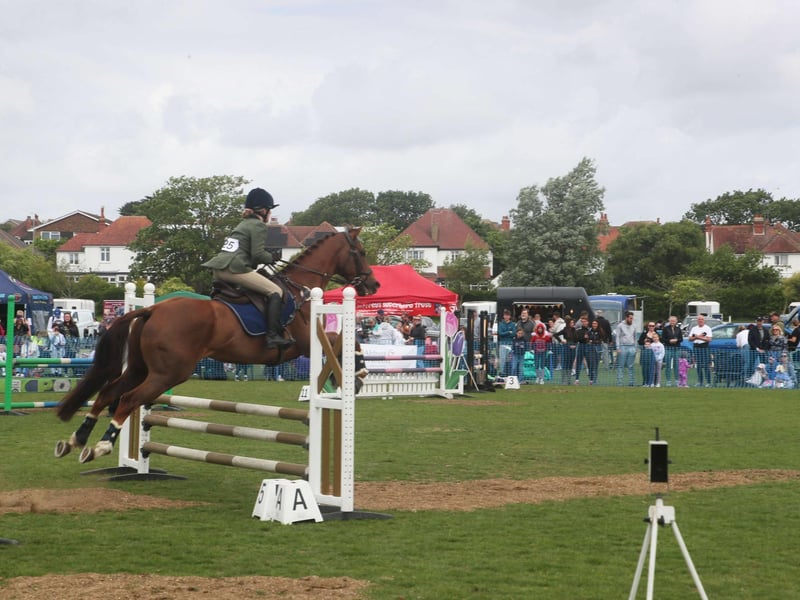 Bexhill Horse Show 2025. Photo by Roberts Photographic.