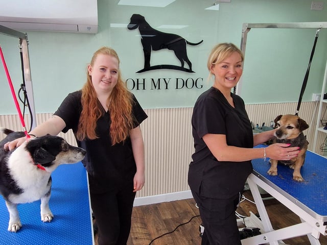 Oh My Dog, a dog grooming service has recently opened in Valebridge Road, Burgeess Hill. Pictured are the owner Caroline Jones and manager Jenna Brooks. SR2508122. Pic S Robards/Nationalworld