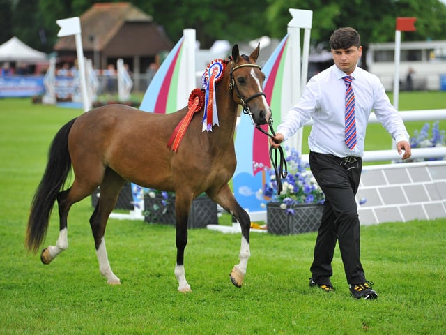 The South of England Show 2022 at Ardingly runs from Friday to Sunday, June 10-12