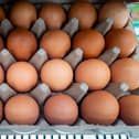A number of eggs, supplied by a company based in Kyiv named Yasensvit Ltd and baring the product code 3UA1012066, have tested positive for Salmonella. Photo illustration by Brandon Bell/Getty Images