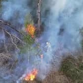 A wildfire in Horsham sparked a considerable emergency response in April. Picture by Sussex News and Pictures
