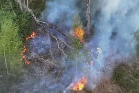 A wildfire in Horsham sparked a considerable emergency response in April. Picture by Sussex News and Pictures