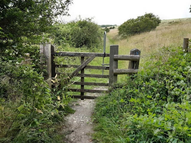 The path opened up a bit after this second gate
