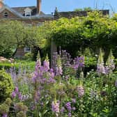 Just six per cent of Horsham residents live near a protected park, making the future of its green spaces uncertain. Pictures courtesy of Fields in Trust