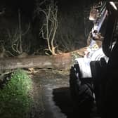 A huge chestnut tree was blown over in Church Lane, Barcombe, on Tuesday, January 2