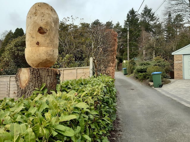 Turn right at the Sanctuary shelter to go up Vera's Walk and at the end, just past a giant carved acorn, you will find the footpath that takes you to Hampers Lane.