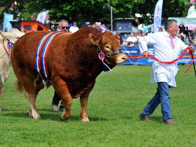 The South of England Show 2022 at Ardingly