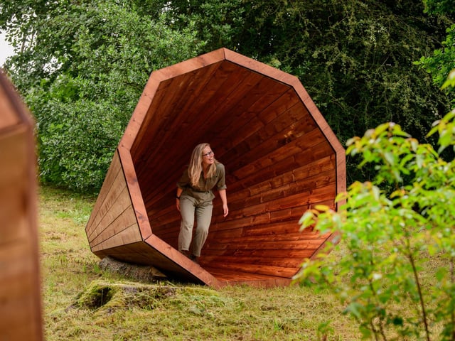 Forest Megaphones by Estonian artist Birgit Õigus at Wakehurst. Picture by Jim Holden/RBG Wakehurst