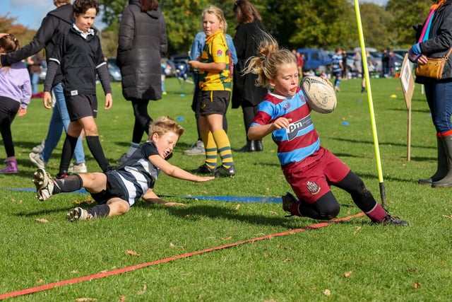 Action from the minis festival for U7s through to U11s at Midhurst Rugby Club at The Ruins