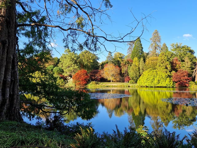 Vivid autumn colour at Sheffield Park and Garden. HR26102605 Pic Hollie Robards/Iconic Media Group