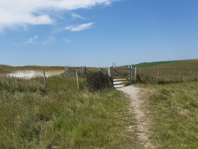 Cross the road and continue on but at this point, you need to stop following the obvious path.