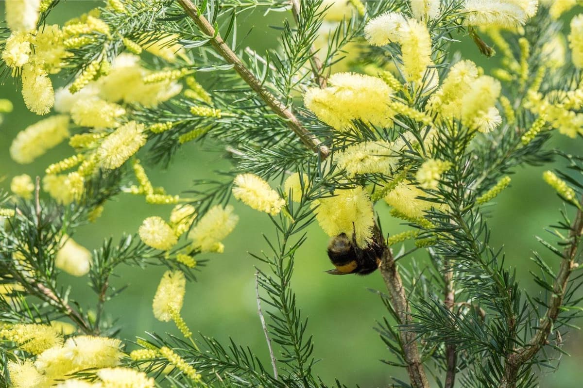 Earnley National Garden Scheme open evening with cheese and wine set to take ...