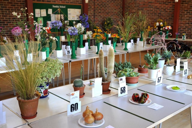 Felpham and Middleton Horticultural Society Flower and Produce Show. Pic S Robards SR2208132