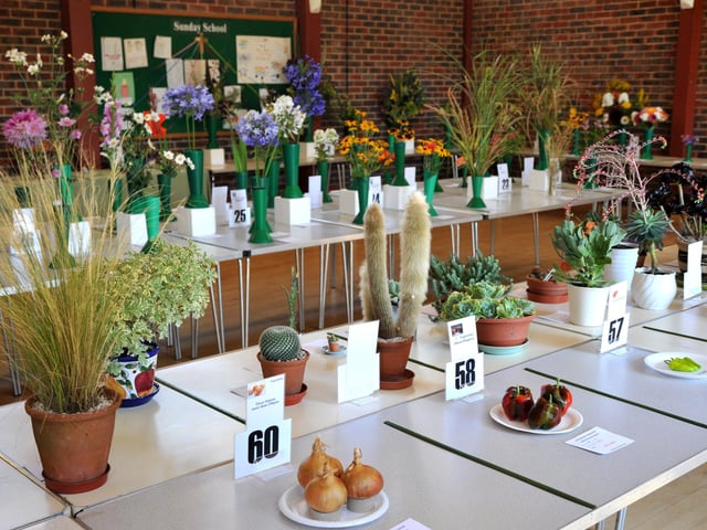 Felpham and Middleton Horticultural Society Flower and Produce Show. Pic S Robards SR2208132