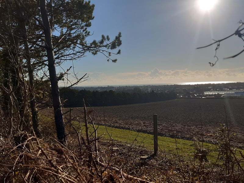 As you walk, you will find gaps in the trees where you can look through to see views of Worthing and over the sea to the Rampion Offshore Wind Farm.