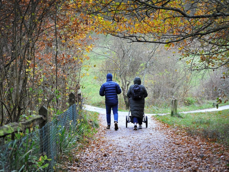 Southwater Country Park in Horsham, West Sussex, is a safe bet for the whole family this autumn. With lots of autumnal colour, plus the excellent Dinosaur Island play park, it's a great spot for a walk and some fun.