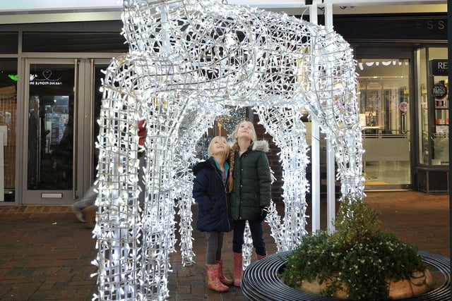The Orchards Christmas Festival took place in Haywards Heath on Saturday, November 26, and the town mayor switched on the Christmas lights at 5pm