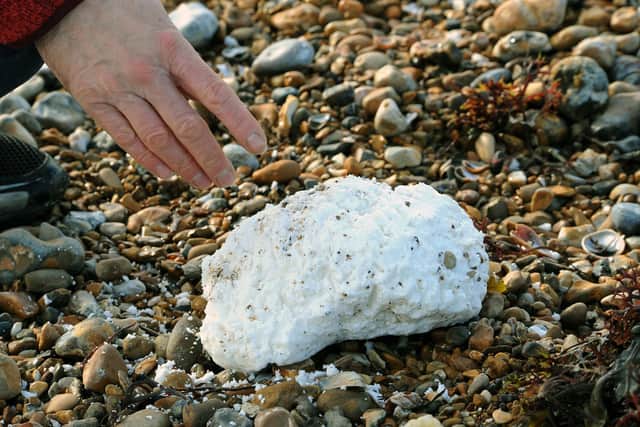 Dog walkers have been warned to look out after a substance believed to be palm oil was found washed up on beaches in East Sussex. Photo shows palm oil which washed up in Shoreham previously.