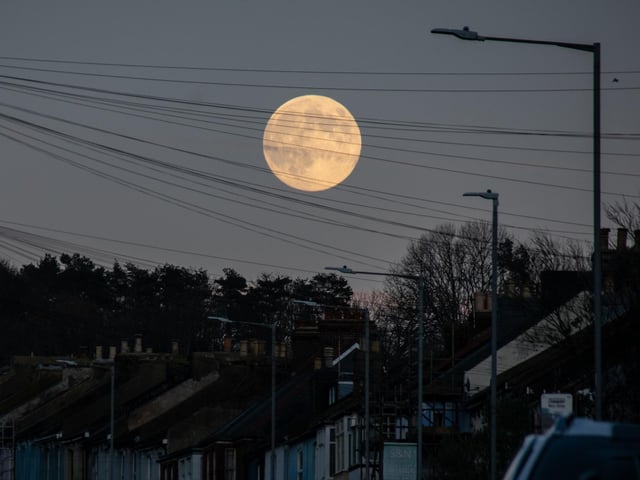 Photo by Jak O'Dowd