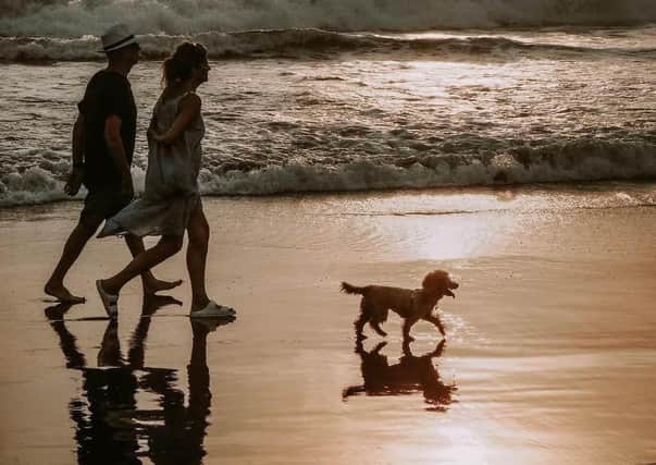 With the summer months approaching, here is where and when beaches will be closed to dogs in the Arun district.