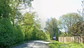 There are reports of a fallen tree and fallen power cables on the A281 Guildford Road. Photo: Google Street View