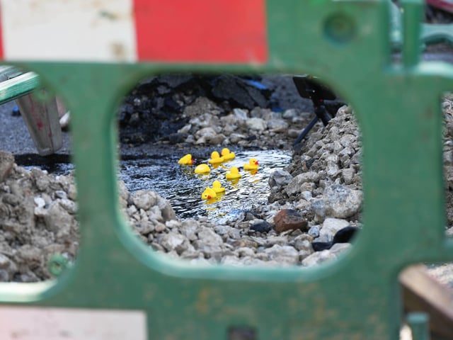 A Worthing resident put rubber ducks into a pond created by a water leak in Worthing