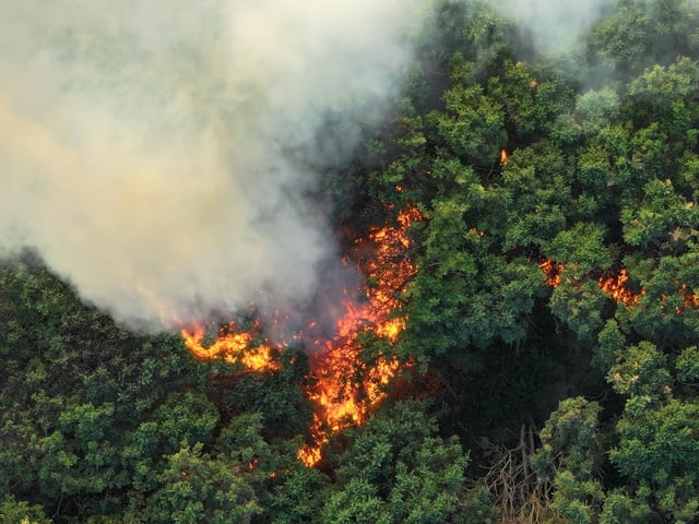 Fire crews worked ‘throughout the night’ to bring a wildfire under control at a beauty spot in Sussex.
