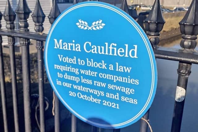 The Dirty Water campaign installed satirical blue plaques, criticising Maria Caulfield's voting record on sewage discharges. Photo: Emma Chaplin