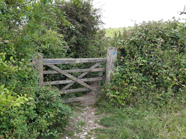 I followed this arrowed route through another three gates (this is the first) and on, enjoying wide-sweeping views all the way.