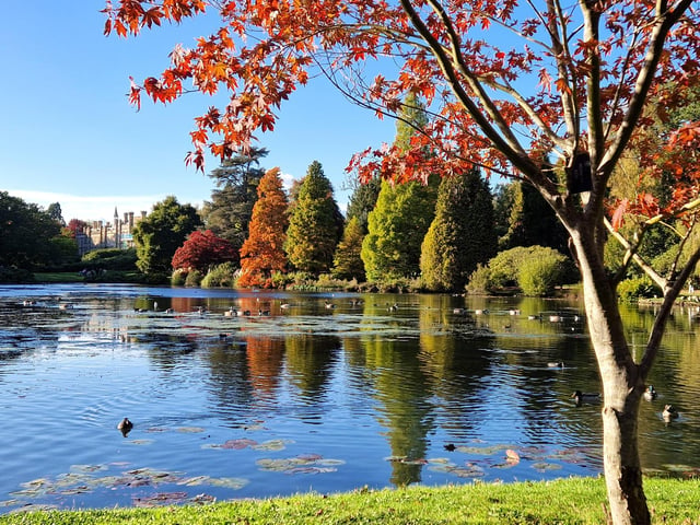 Vivid autumn colour at Sheffield Park and Garden. HR26102605 Pic Hollie Robards/Iconic Media Group