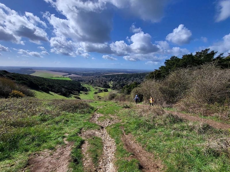 Kingley Vale is a 204.4-hectare (505-acre) biological Site of Special Scientific Interest north of Chichester. It is also a Special Area of Conservation and a Nature Conservation Review site, It offers stunning walks and scenery and is a great place to spend some quality time away from the presssures of modern life.