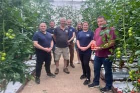 Growers celebrate British Tomato Fortnight 2023 at The Green House Growers Sussex