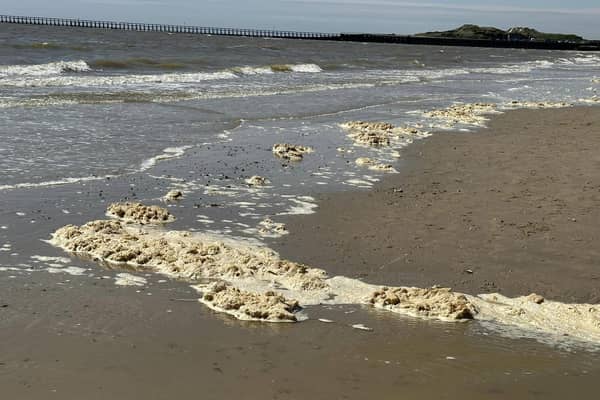 The Environment Agency said suspected sewage pollution on Littlehampton beach was actually the ‘breakdown of algal blooms’ after a public outcry over the quality of the water.