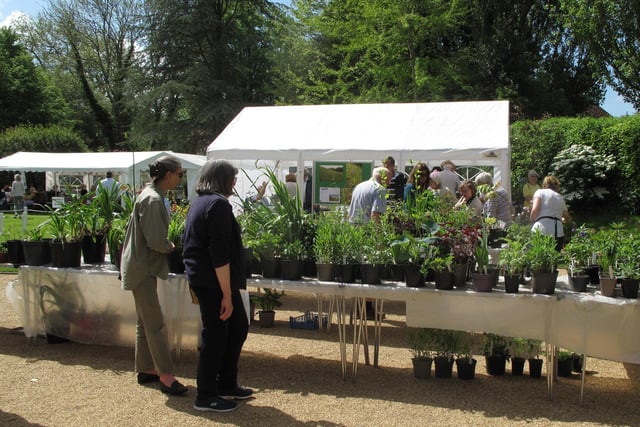 The plant sale at Casters Brook