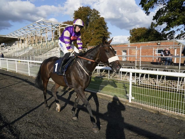 Early autumn racing at Fontwell Park, September 2025