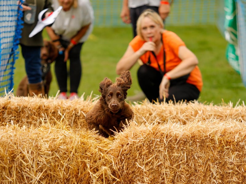 The Autumn Show and Horse Trials are on Saturday and Sunday, September 21-22