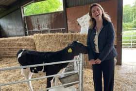 Jess Brown-Fuller with a calf at Goodwood Education Trust.